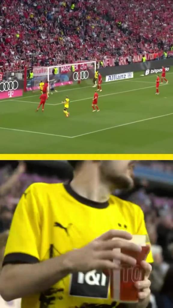 勇者無(wú)懼！這是真多特球迷！在拜仁球迷區(qū)一個(gè)人肆意慶祝！